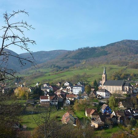 Gite Schlitteur Et Sapiniere Breitenbach Exterior foto