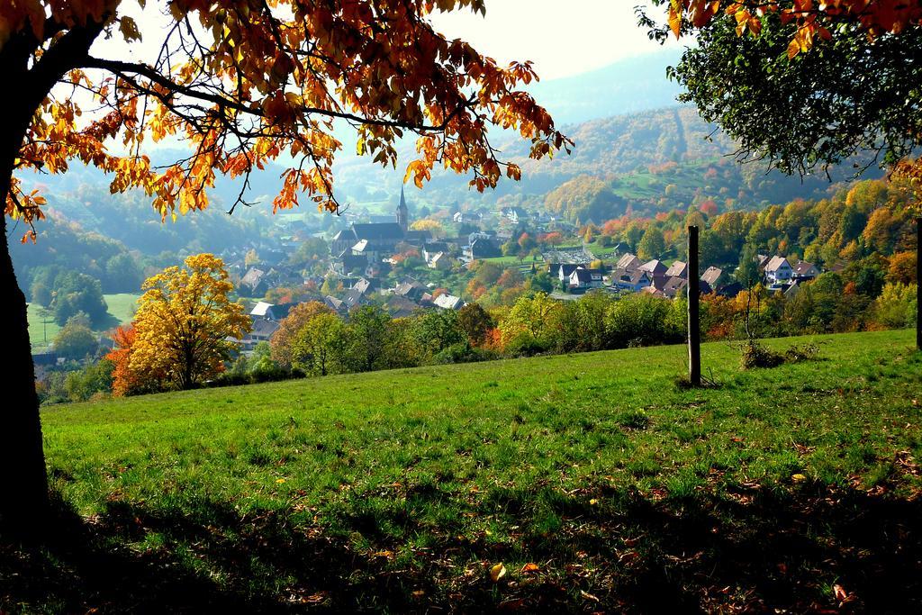 Gite Schlitteur Et Sapiniere Breitenbach Exterior foto