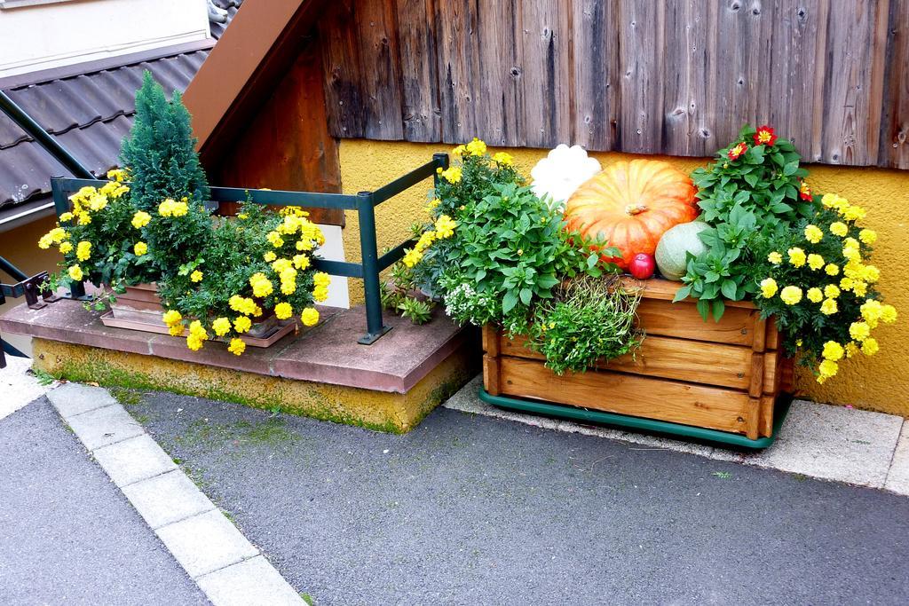 Gite Schlitteur Et Sapiniere Breitenbach Exterior foto