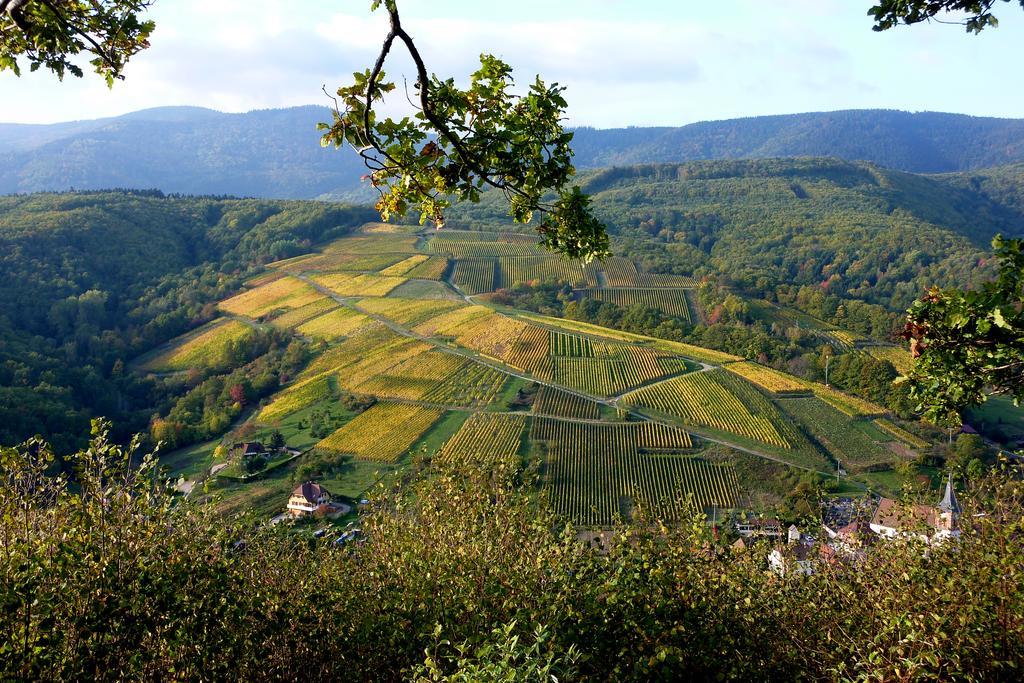 Gite Schlitteur Et Sapiniere Breitenbach Exterior foto