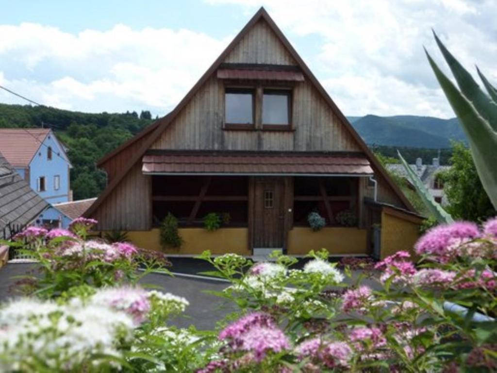 Gite Schlitteur Et Sapiniere Breitenbach Habitación foto