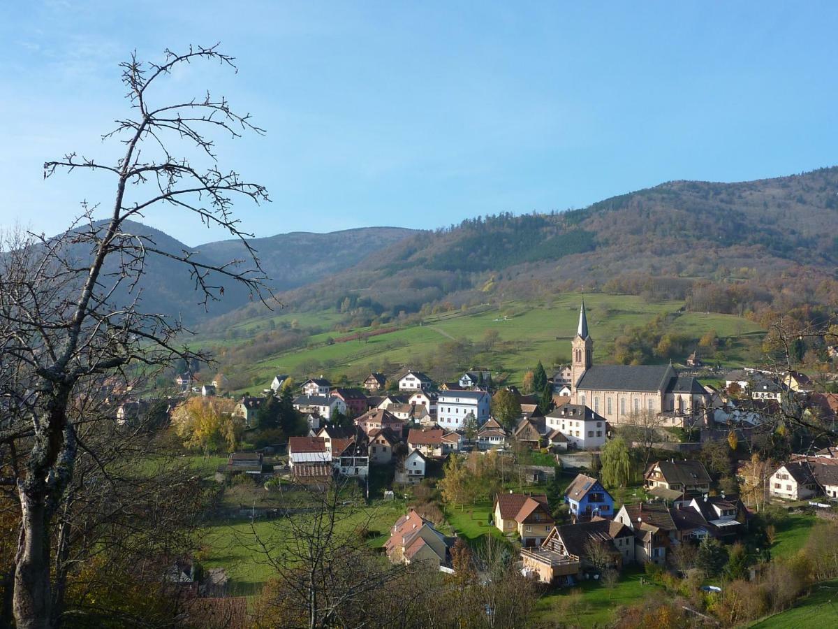 Gite Schlitteur Et Sapiniere Breitenbach Exterior foto