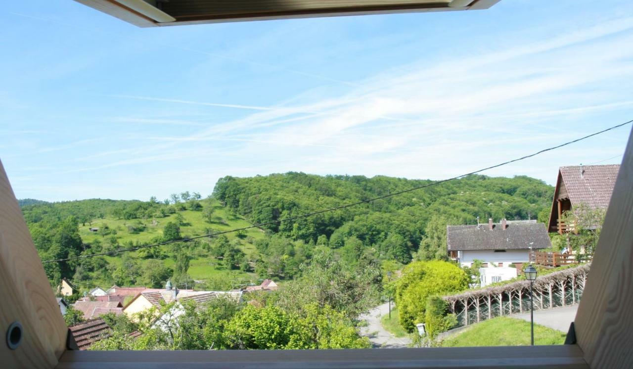 Gite Schlitteur Et Sapiniere Breitenbach Exterior foto