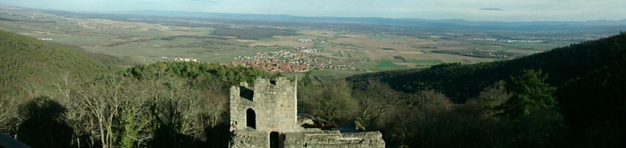 Gite Schlitteur Et Sapiniere Breitenbach Exterior foto